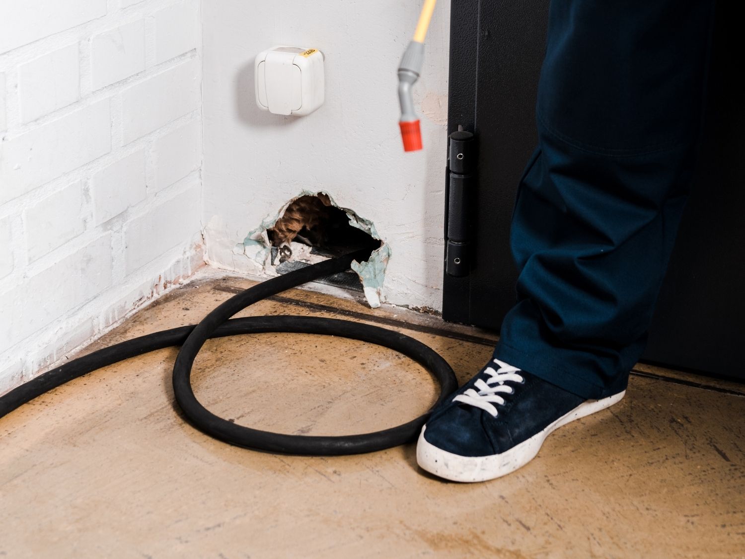 Rodent Dropping Cleanup in Western Springs