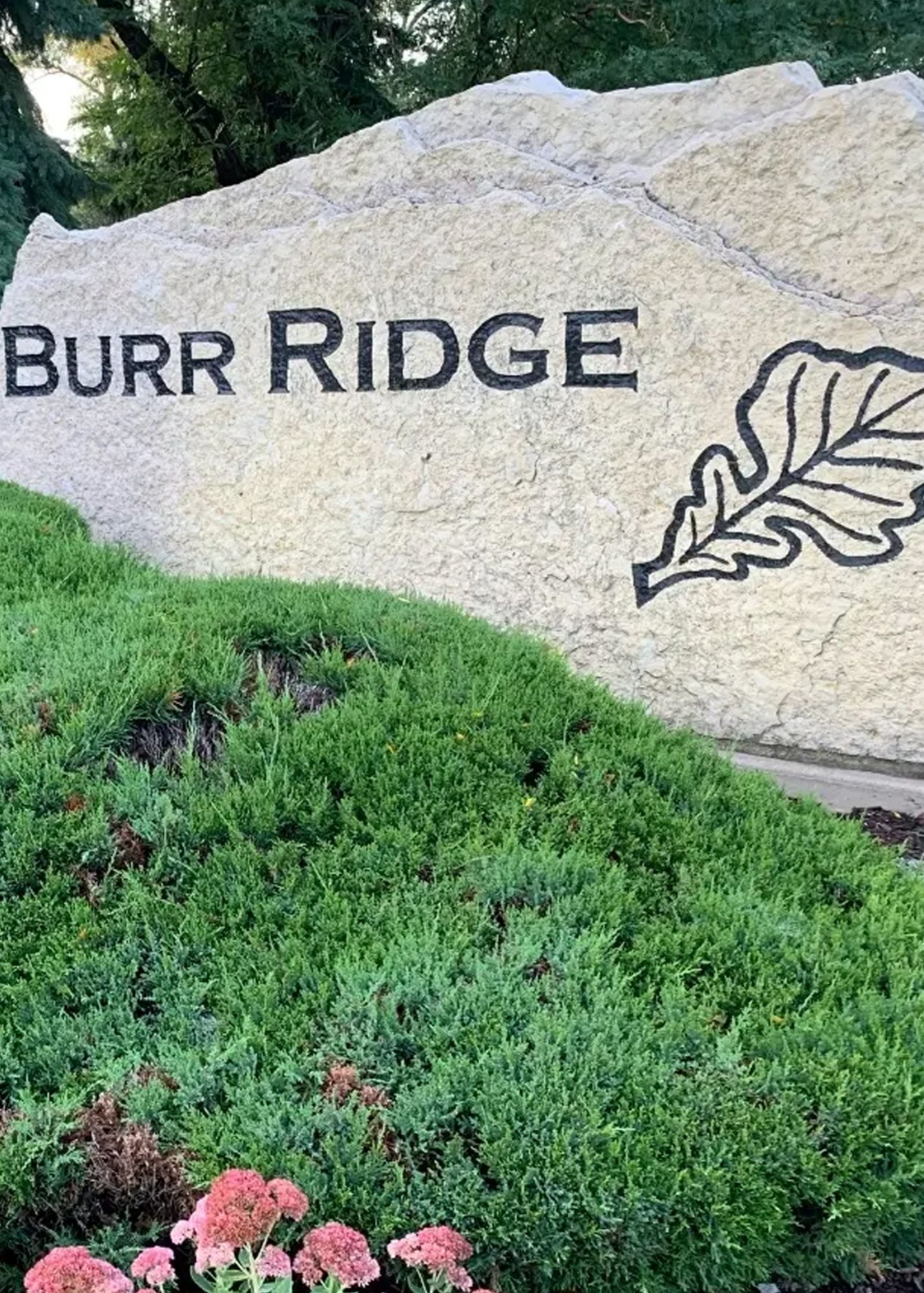 Hoarding Cleanup in Burr Ridge