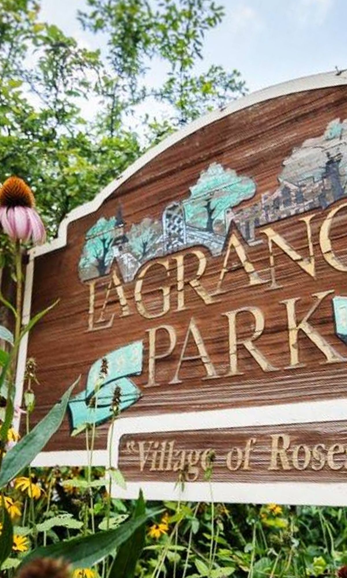 Hoarding Cleanup in La Grange Park, IL