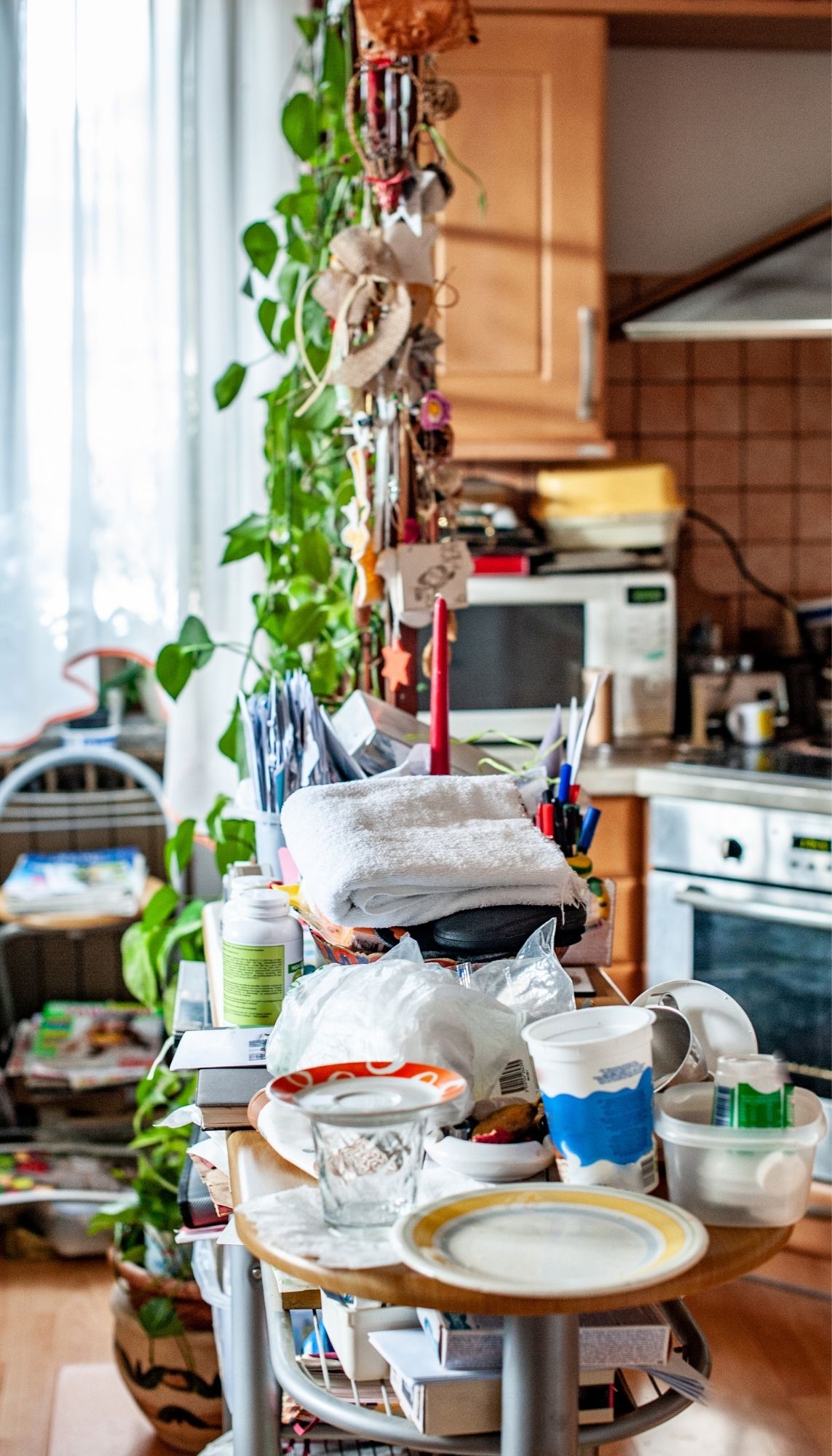 Hoarding Cleanup in La Grange