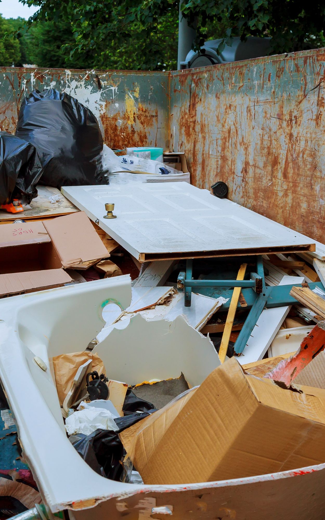 Hoarding Cleanup in La Grange Park, IL