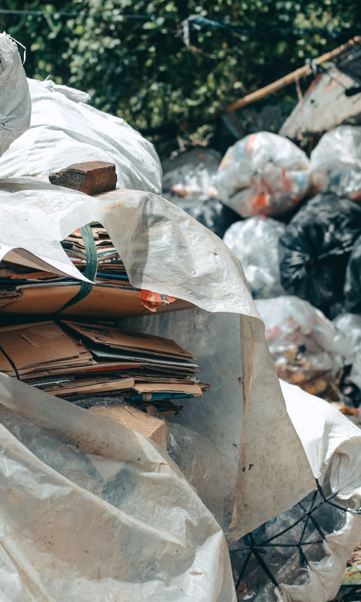 Hoarding Cleanup in La Grange Park, IL