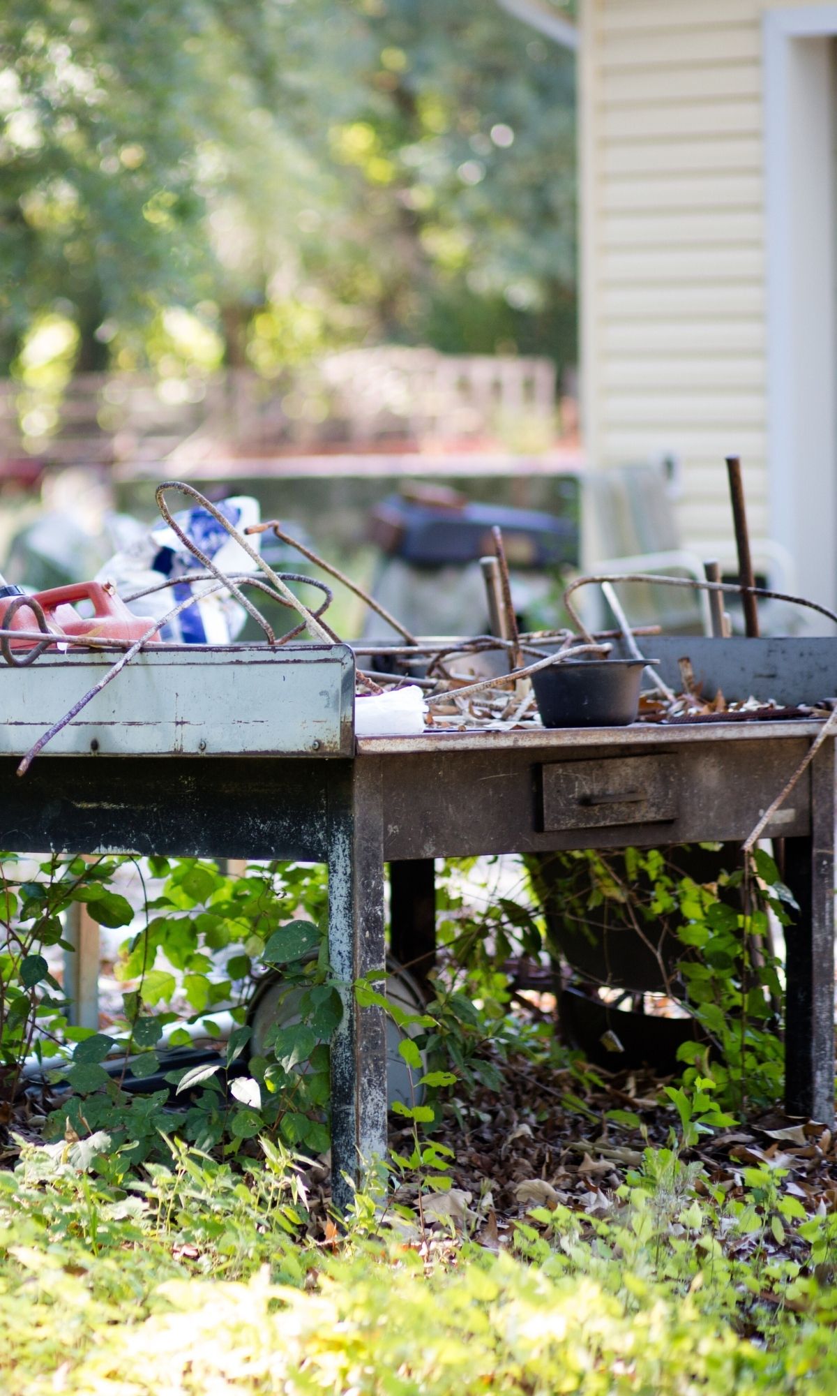 Hoarding Cleanup in Burr Ridge