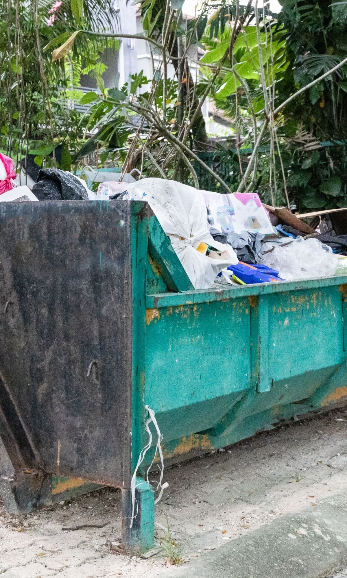 Hoarding Cleanup in Burr Ridge