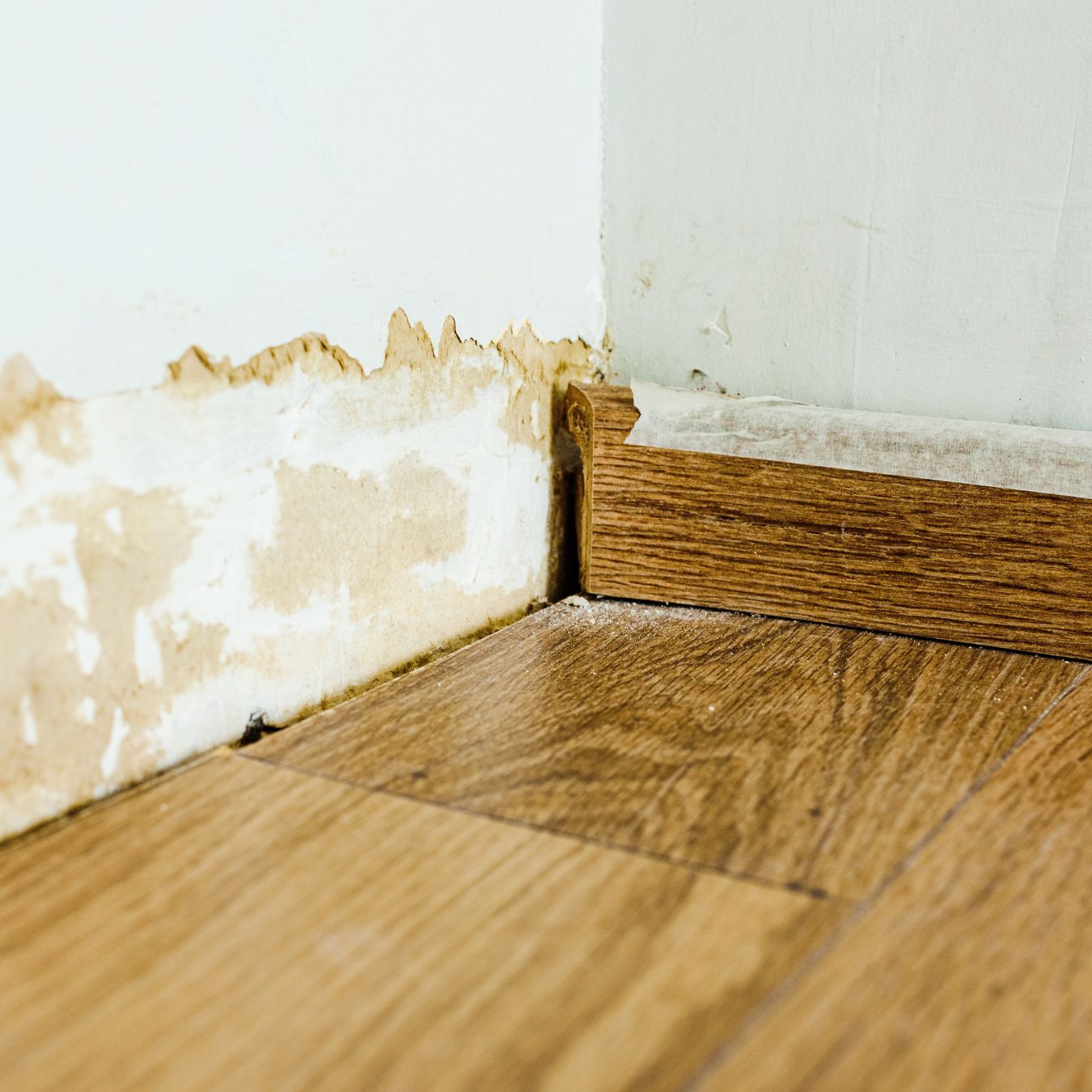 Purchasing Damaged Houses in Chicago​