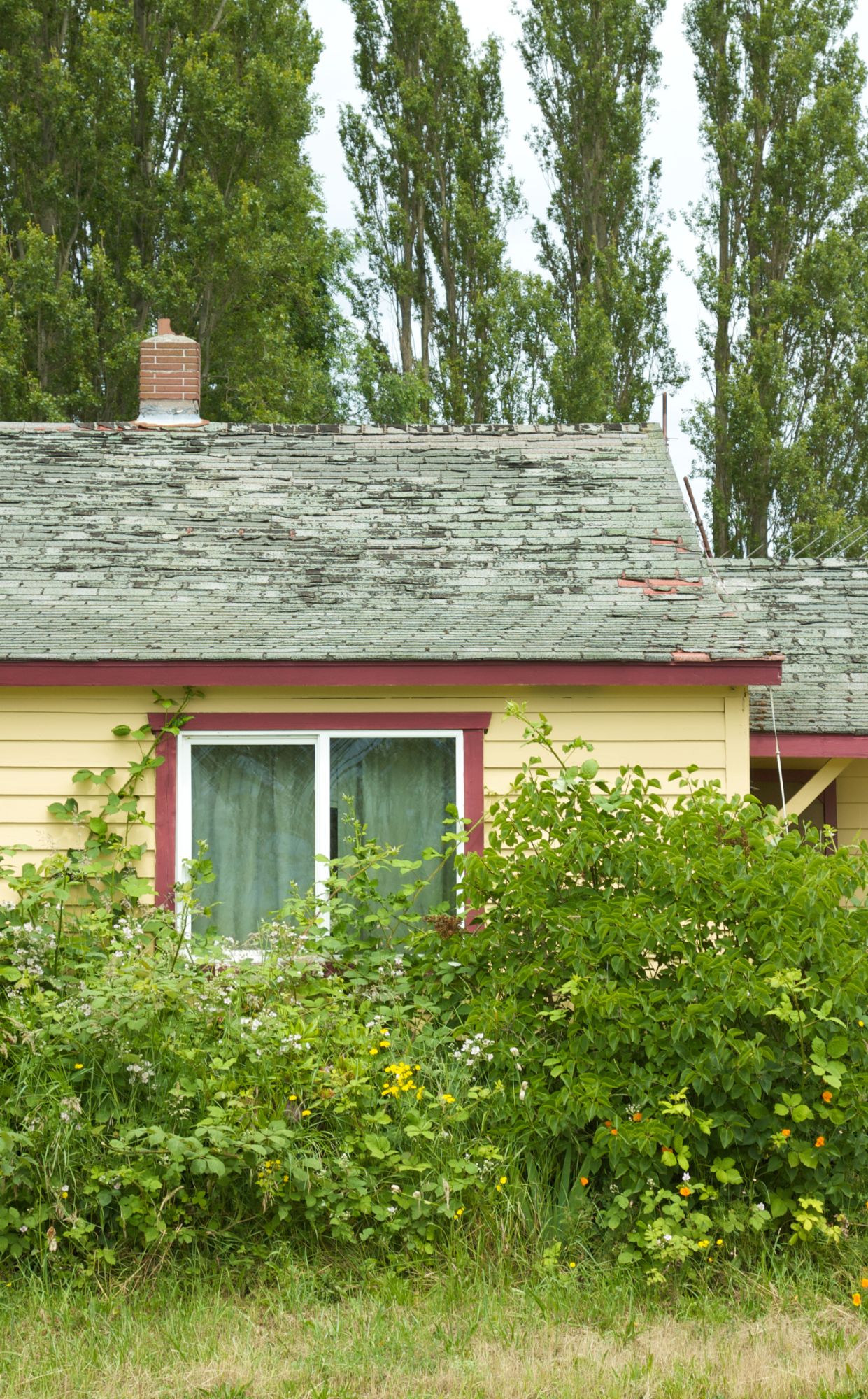 Purchasing Damaged Houses in Chicago